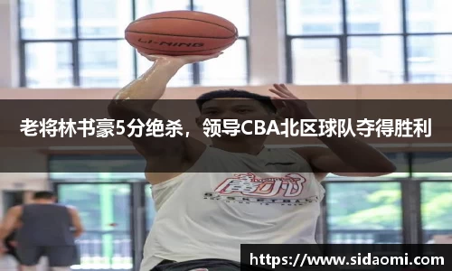 老将林书豪5分绝杀，领导CBA北区球队夺得胜利