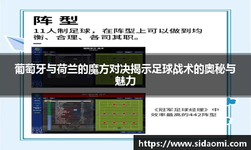 葡萄牙与荷兰的魔方对决揭示足球战术的奥秘与魅力