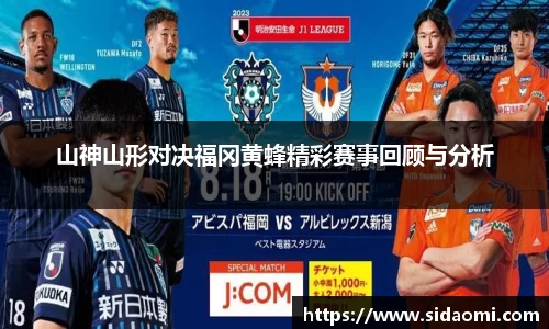 山神山形对决福冈黄蜂精彩赛事回顾与分析