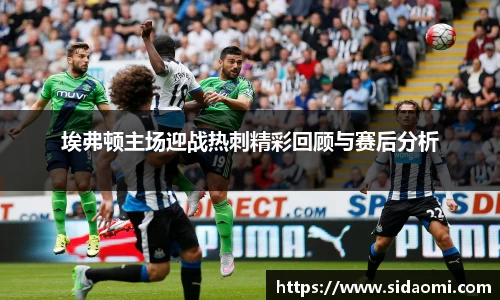 埃弗顿主场迎战热刺精彩回顾与赛后分析