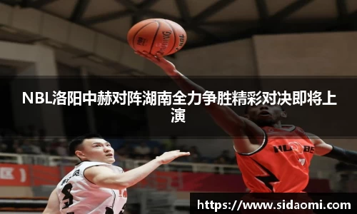 NBL洛阳中赫对阵湖南全力争胜精彩对决即将上演
